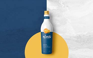 锡林郭勒盟某动力 品牌设计